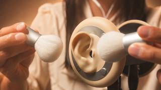 ASMR Slow Ear Massage 👂 Gentle Hands, Brush & Soft Triggers (No Talking) screenshot 5