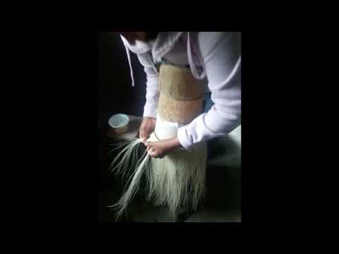 paja toquillaMULTI