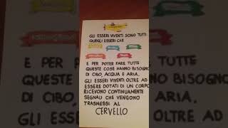 Scienze - I cinque sensi