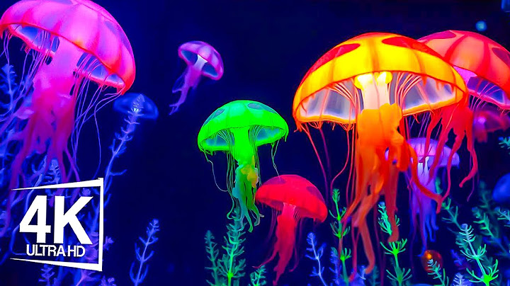 The Most Stunning Aquarium 4K (ULTRA HD) Video - Dive Into The Unknown Underwater World Today