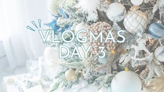Vlogmas Day 3 - Sprout Soup?