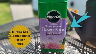 MiracleGro Water Soluble Bloom Booster Flower Food Review