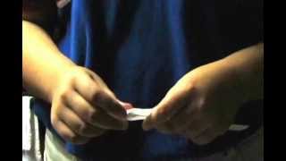 Harmony Science Academy- Bacteria Growth