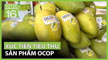 Xúc tiến tiêu thụ thị trường sản phẩm OCOP | VTC16