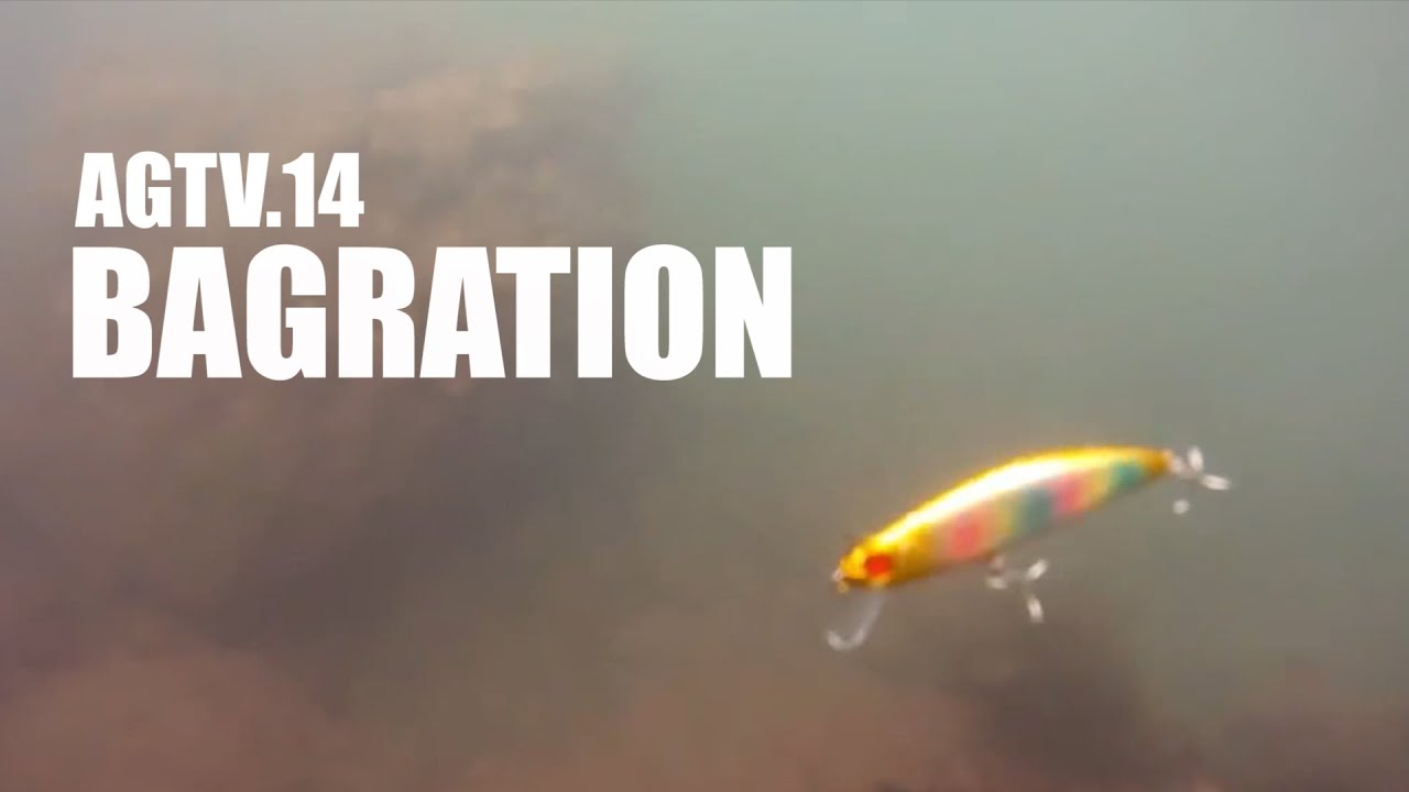 Bagration ルアー Apia アピア Bagration ルアー Apia アピア