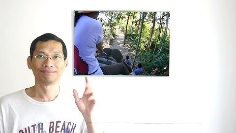 Shotcut Tutorial Picture In Picture Demo 2