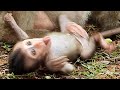 Ohgod  very poor pitiful adorable cute baby monkey i lovely monkeys