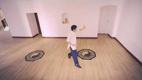 Learning: Ba Gua Zhang Seventh Form #Wudang #Kungfu