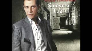 Süleyman Tuğrul - Gücüm Kalmadı Resimi