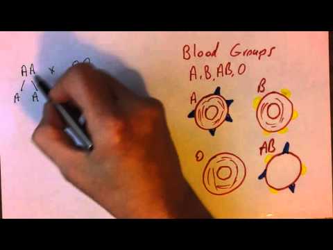 Video: Is uw bloedgroep genetisch bepaald?