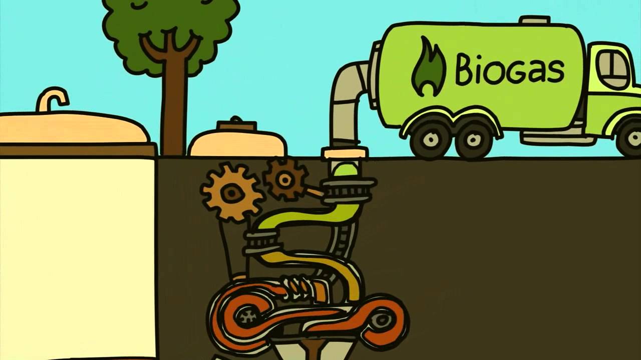 Baltic Sea - The Future