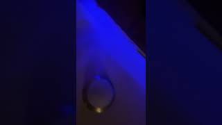 Trend successfully pulled off