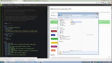 Domino Access  Service API and the Open API Specification