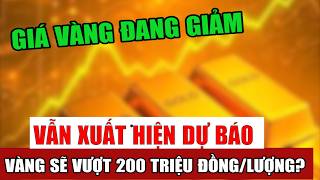Nghịch lý: Giá vàng giảm vẫn xuất hiện dự báo giá sẽ vượt 200 triệu đồng/lượng