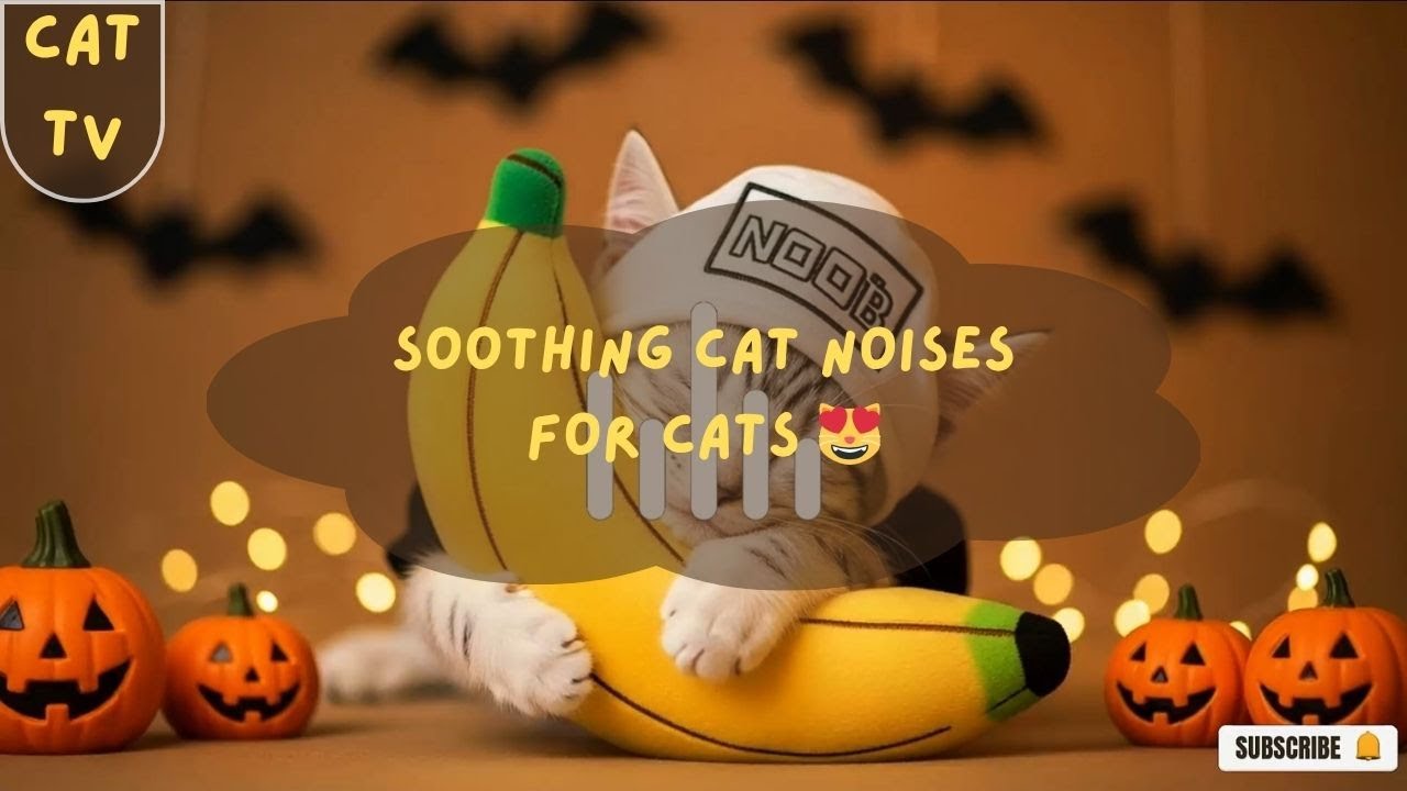 Cats Love These Soothing Noises ️ | Relaxing Cat Sounds for Stress ...