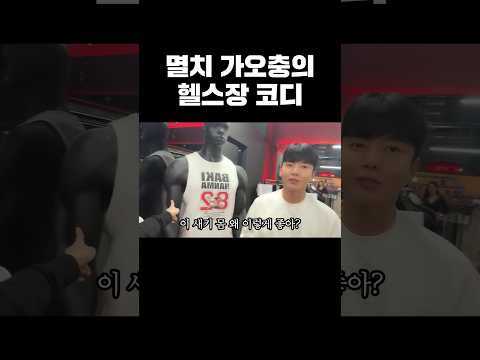 멸치 가오충의 헬스장 코디