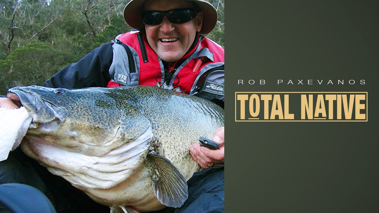 ToTAL NaTIVE - Rob Paxevanos Murray Cod and Golden Perch