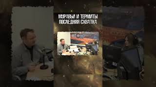 На пальцах 16.02.18 \ Жалко муравьев #наука #shorts