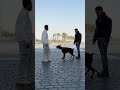 الدوبر مان في الحراسة موضوع تاني mp3