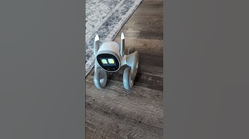 Loona Robot- Singing #loona #loonarobot #robot #keyitech