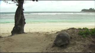 EBS Docuprime - EBS Docuprime_Marion's Story_20100712_#005