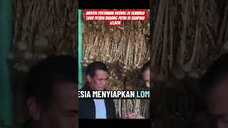 #mentri #pertanian #datang lihat petani bauang butih di sembalun lombok ter kait harnga pauang putih