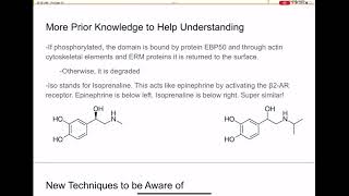 Paper 6 Guide