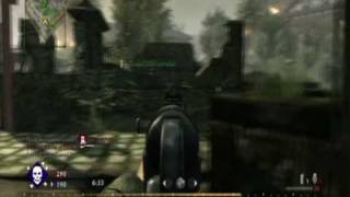 Call of Duty World at War - I Hate My Team (MP40)