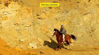 Mem Ararat --Hespé Kekémin Boze-- ( Bitlis/Hizan) Resimi