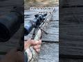 .17hmr Ruger American vs water jugs #outdoors #hunting #hornady #rugeramerican