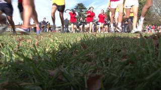 StAC Cross Country 2013