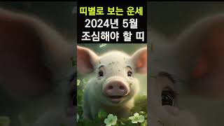2024년 5월 조심해야 하는 띠! 띠별 운세! 5월에 이것만 조심하면 무난하게 넘어간다! #5월운세, #2…