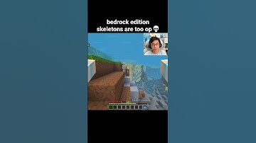 Minecraft Bedrock Skeleton Moment