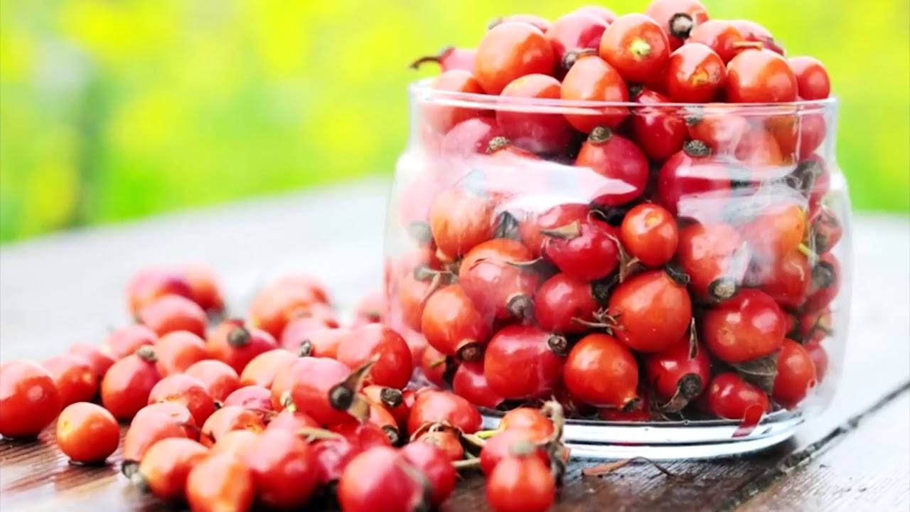 Хусусиятхои шифо бахшии Хуч