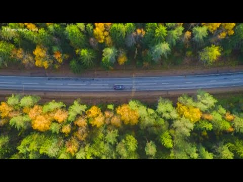 SCIENCE BEHIND: Fall