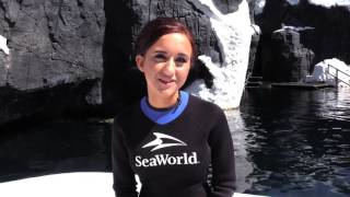 Ashley Wineland Lives Out Her Childhood Dream At SeaWorld