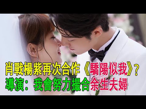 肖戰楊紫再次合作《驕陽似我》？，導演：我會努力撮合余生夫婦#肖戰#楊紫#驕陽似火#楊洋#白鹿