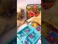 Toy Table Setup ASMR/New Year Gift🎄🎁| Part 2 #asmrshorts#satisfyingvideo#toyshorts#newyear2026#fyp