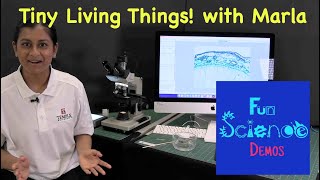 Where are Tiny Living Animals?
Marla uses a microscope to show us Tiny Living Things that live in ponds and lakes. Very cool.
Visit our channel for over 300 videos that explain science! Please subscribe.
https://www.youtube.com/c/funsciencedemos
Want to discover fun science learning tools from the best in the world?
Check out: https://www.funsciencetools.org/
Are you a teacher? We have ways to integrate science into your class!
Check out: https://www.funscience.support Where are Tiny Living Animals?