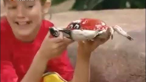 Fun & Games (All Versions) Part 842