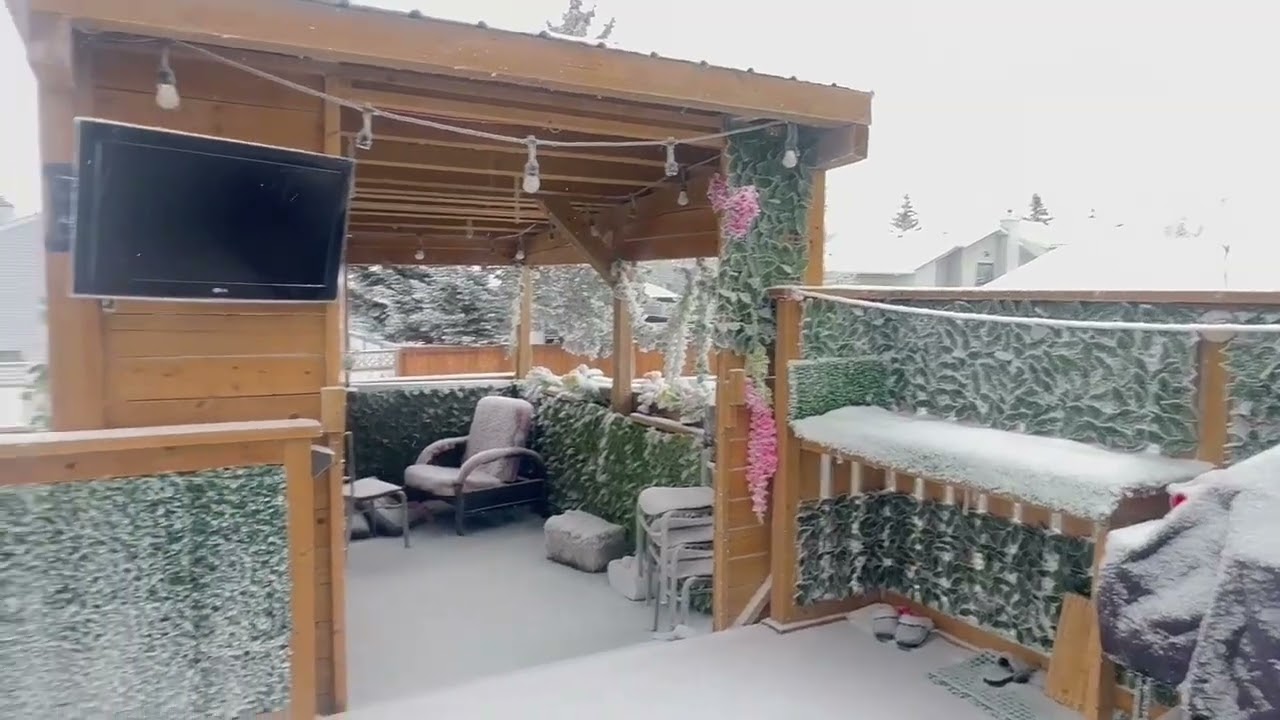 Cozy snowfall in my Backyard