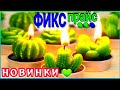 МЕГА НОВИНКИ 💚 ФИКС ПРАЙС 💚 ОТ ТАКИХ НОВИНОК МОЖНО СОН ПОТЕРЯТЬ😉 ТОРОПИСЬ, НА ВСЕХ НЕ ХВАТИТ⚠️ WOW