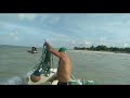 Os Mamutes retornam com a pesca com redes