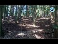 丘の上のアナグマハウスVol.11