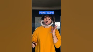 Dolphin Split Tutorial