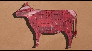 Consuming Animals: Rob Levitt & Tom Philpott