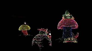 SD  Main Street Electrical Parade  'Farewell Season' 1996  Disneyland