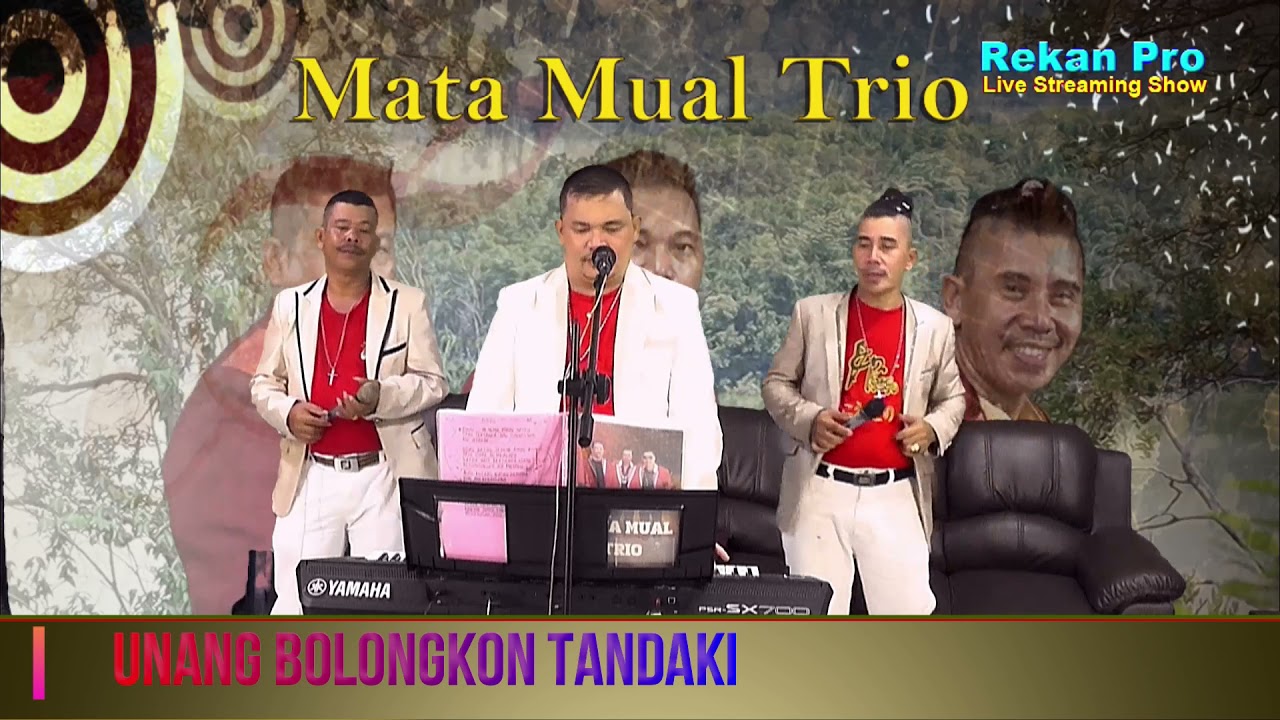 Unang Bolongkon Tandaki III   covered, MATA MUAL Trio   #LiveStream,#LiveMusic,,#lagubatak,