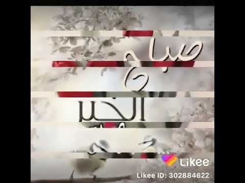 صباح الخير او مساء الخير