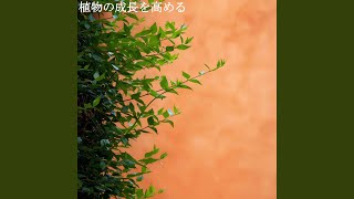 Astounding Backdrops for Light Throwbacks